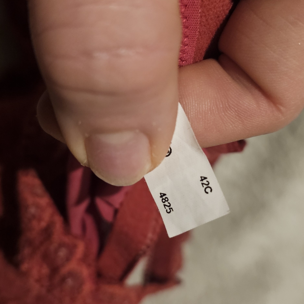 Torrid Bras - image 4